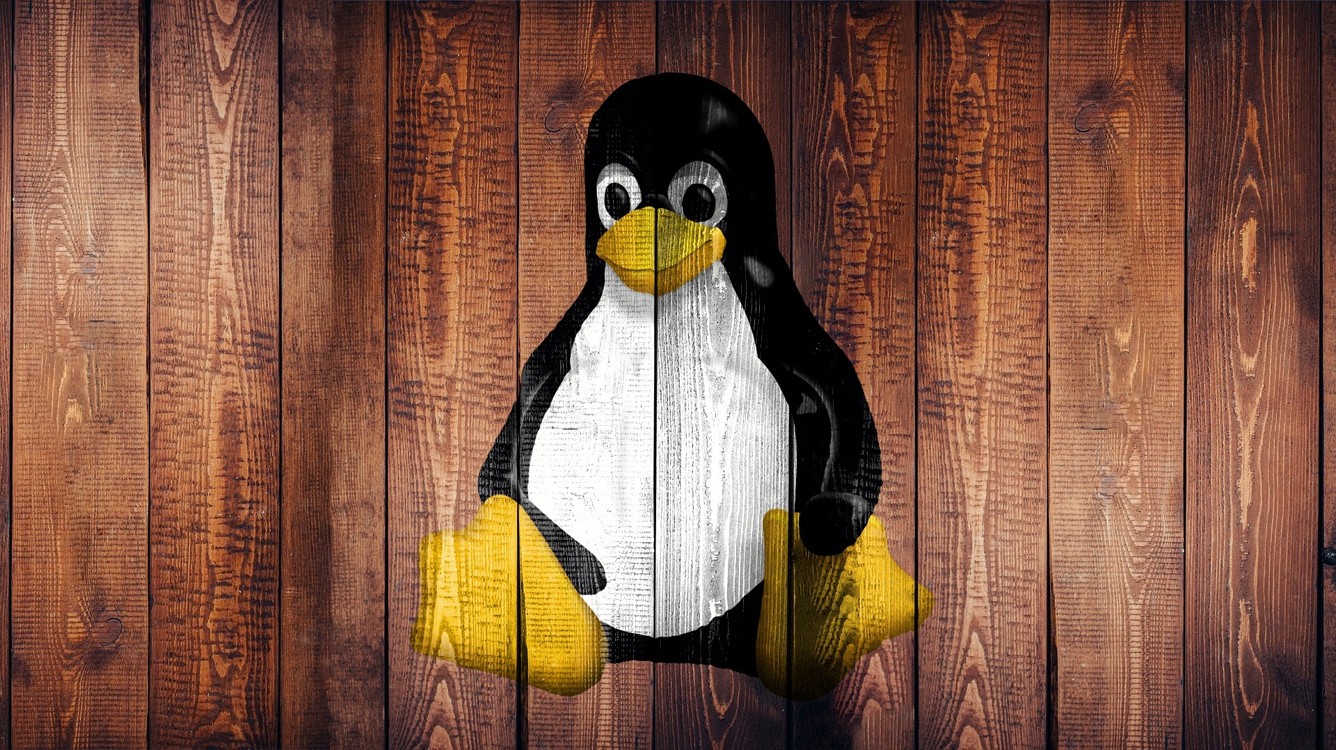 Pare de Decorar Comandos Linux: Aprenda os Processos Primeiro